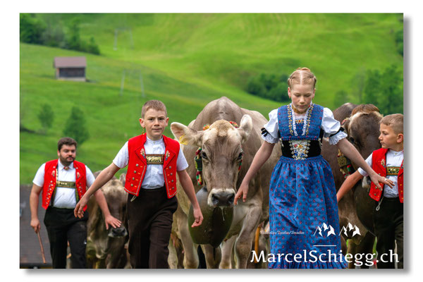 Marcel Schiegg Fotografie, Tradition, Brauchtum, Alpfahrt, Oeberefahre, Appenzell, Appenzellerland, Öberefahre