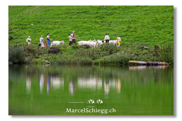 Marcel Schiegg Fotografie, Seealpsee, Alpstein, Tradition, Brauchtum, Alpfahrt, Oeberefahre, Appenzell