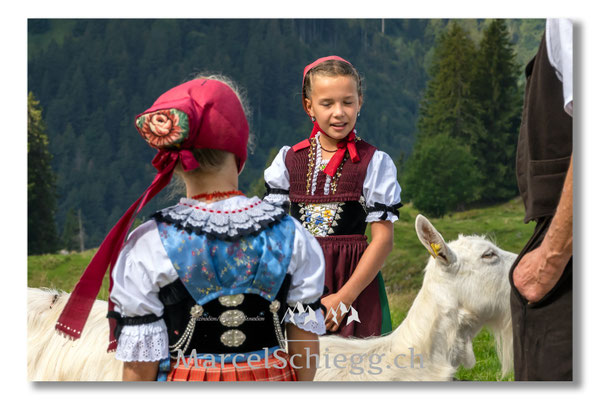 Marcel Schiegg Fotografie, Tradition, Brauchtum, Alpfahrt, Oeberefahre, Appenzell, Appenzellerland, Öberefahre, Alpstein