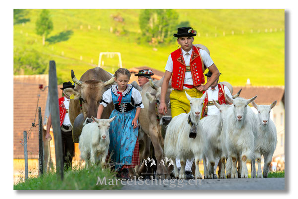 Marcel Schiegg Fotografie, Tradition, Brauchtum, Alpfahrt, Oeberefahre, Appenzell, Appenzellerland, Öberefahre, Alpstein
