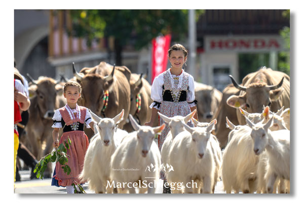 Marcel Schiegg Fotografie, Tradition, Brauchtum, Alpfahrt, Oeberefahre, Appenzell, Appenzellerland, Öberefahre, Alpstein