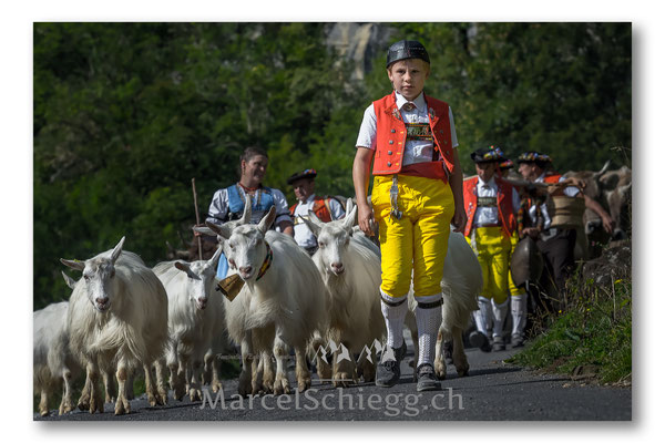 Öberefahre/Alpfahrt Art.-Nr. MS5-4912-September