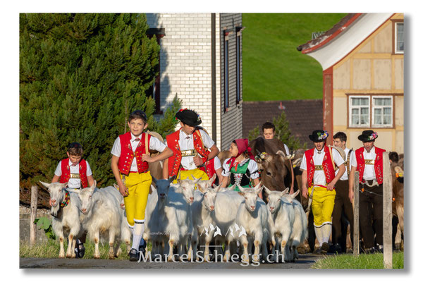 Marcel Schiegg Fotografie, Tradition, Brauchtum, Alpfahrt, Oeberefahre, Appenzell, Appenzellerland, Öberefahre, Alpstein