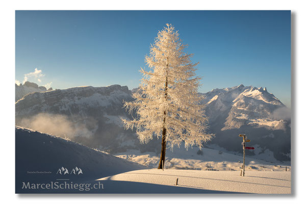 Appenzellerland/Winterimpressionen Art.-Nr. MS5-8338