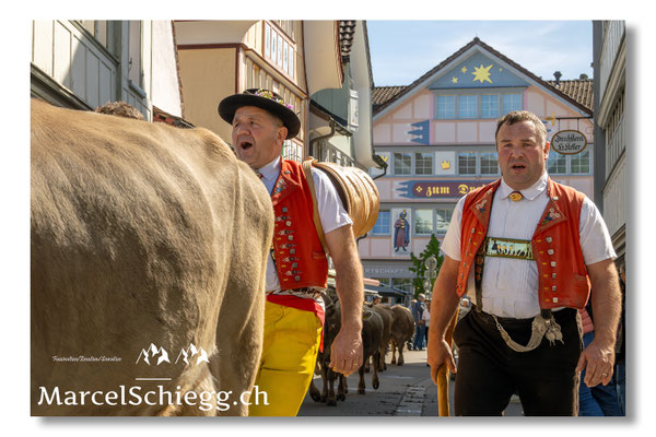 Marcel Schiegg Fotografie, Tradition, Brauchtum, Alpfahrt, Oeberefahre, Appenzell, Appenzellerland, Öberefahre