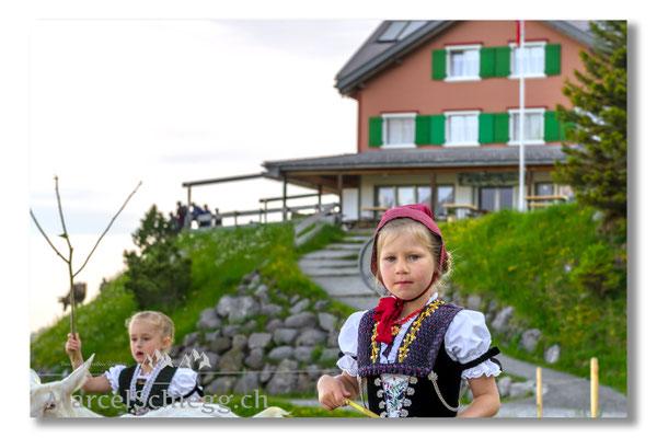 Marcel Schiegg Fotografie, Tradition, Brauchtum, Alpfahrt, Oeberefahre, Appenzell, Appenzellerland, Öberefahre, Alpstein, Berggasthaus Ruhesitz