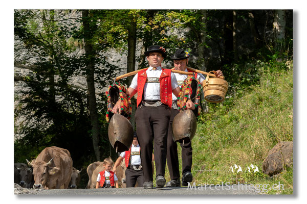 Marcel Schiegg Fotografie, Alpstein, Tradition, Brauchtum, Alpfahrt, Oeberefahre, Appenzell, Fahreimer