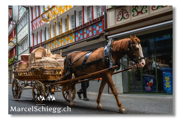 Marcel Schiegg Fotografie, Tradition, Brauchtum, Lediwagen, Alpfahrt, Oeberefahre, Appenzell, Appenzellerland, Hauptgasse, Öberefahre