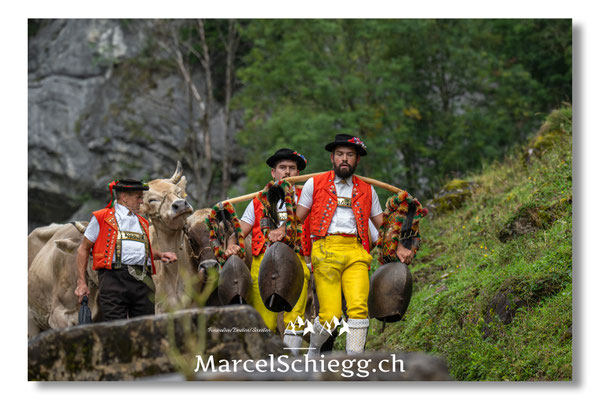 Marcel Schiegg Fotografie, Seealp, Alpstein, Tradition, Brauchtum, Alpfahrt, Oeberefahre, Appenzell