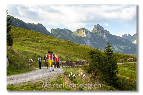 Marcel Schiegg Fotografie, Tradition, Brauchtum, Alpfahrt, Oeberefahre, Appenzell, Appenzellerland, Öberefahre, Alpstein