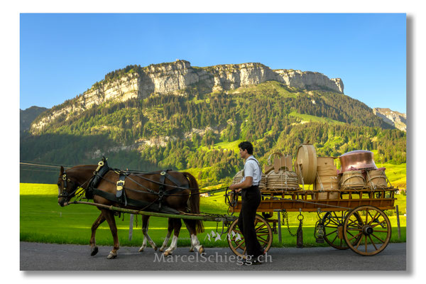 Marcel Schiegg Fotografie, Tradition, Brauchtum, Alpfahrt, Oeberefahre, Appenzell, Appenzellerland, Öberefahre, Lediwagen, Alpstein