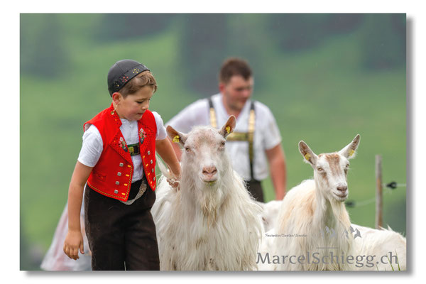 Marcel Schiegg Fotografie, Tradition, Brauchtum, Alpfahrt, Oeberefahre, Appenzell, Appenzellerland, Öberefahre