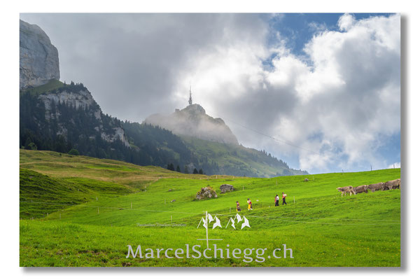 Marcel Schiegg Fotografie, Tradition, Brauchtum, Alpfahrt, Oeberefahre, Appenzell, Appenzellerland, Öberefahre, Alpstein