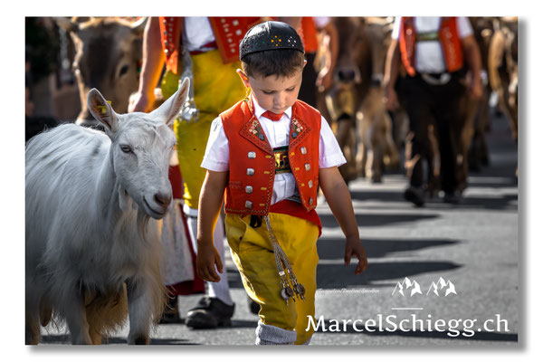 Marcel Schiegg Fotografie, Tradition, Brauchtum, Alpfahrt, Oeberefahre, Appenzell, Appenzellerland