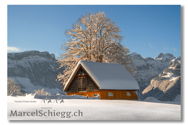 Appenzellerland/Winterimpressionen Art.-Nr. MZ7-5892