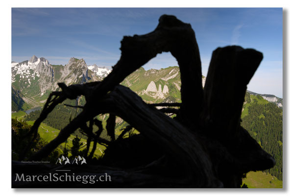 Marcel Schiegg Fotografie, Marcel Schiegg, Geologischer Wanderweg, Bollenwees, Alpstein