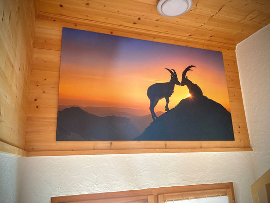 Wanddeko Steinbock, Alpstein