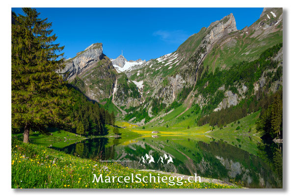 Seealpsee Art.-Nr. MS8-1123