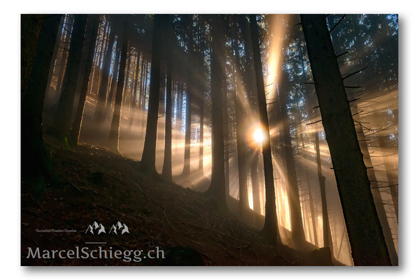 Appenzellerland/Im Wald Art.-Nr. MS8-4005-November