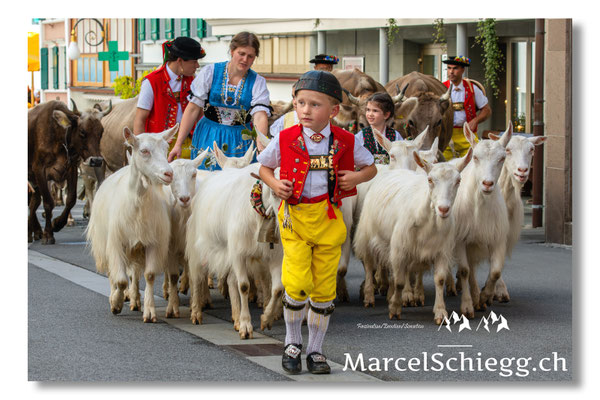 Marcel Schiegg Fotografie, Seealp, Hauptgasse, Tradition, Brauchtum, Alpfahrt, Oeberefahre, Appenzell, Ziegen