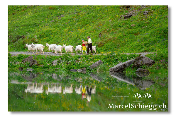 Marcel Schiegg Fotografie, Seealpsee, Alpstein, Tradition, Brauchtum, Alpfahrt, Oeberefahre, Appenzell