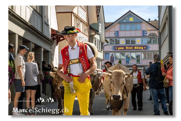 Marcel Schiegg Fotografie, Tradition, Brauchtum, Alpfahrt, Oeberefahre, Appenzell, Appenzellerland, Öberefahre