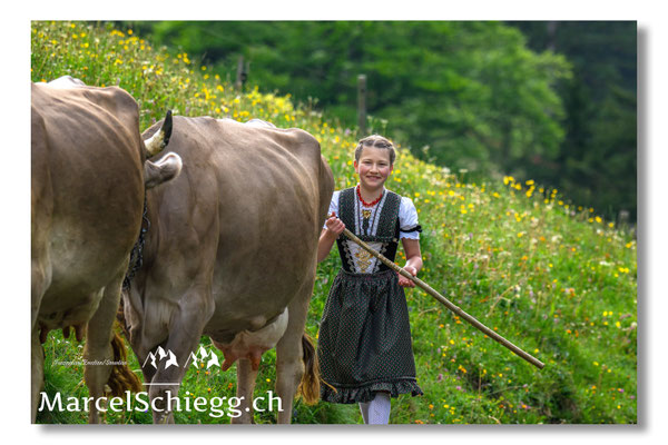 Marcel Schiegg Fotografie, Seealp, Alpstein, Tradition, Brauchtum, Alpfahrt, Oeberefahre, Appenzell