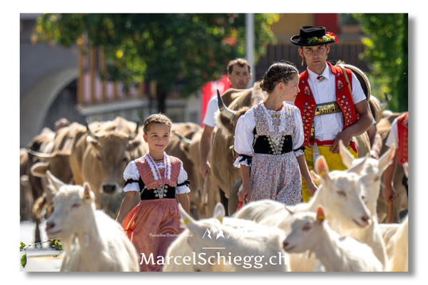 Marcel Schiegg Fotografie, Tradition, Brauchtum, Alpfahrt, Oeberefahre, Appenzell, Appenzellerland, Öberefahre, Alpstein