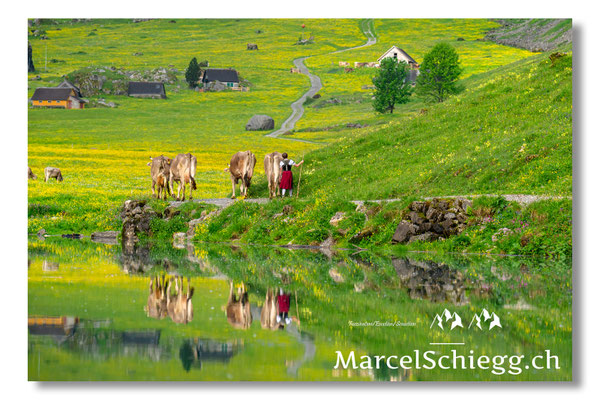 Marcel Schiegg Fotografie, Seealpsee, Alpstein, Tradition, Brauchtum, Alpfahrt, Oeberefahre, Appenzell