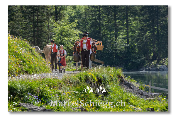Marcel Schiegg Fotografie, Seealpsee, Alpstein, Tradition, Brauchtum, Alpfahrt, Oeberefahre, Appenzell