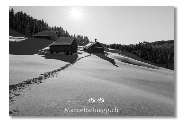 Alpstein/Winterimpressionen Art.-Nr. MS8-5334
