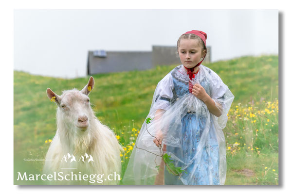 Marcel Schiegg Fotografie, Tradition, Brauchtum, Alpfahrt, Oeberefahre, Appenzell, Appenzellerland, Öberefahre, Alpstein