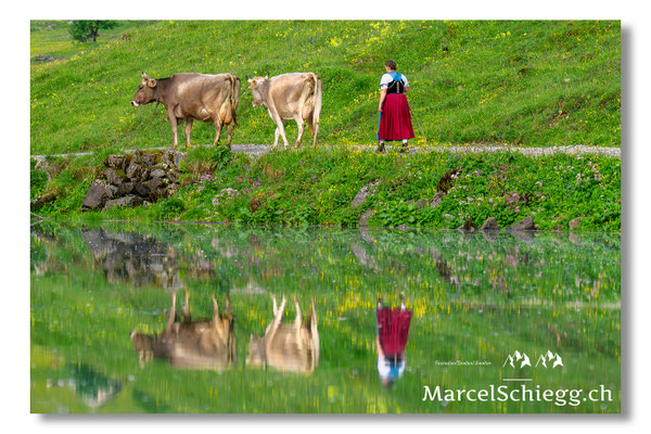 Marcel Schiegg Fotografie, Seealpsee, Alpstein, Tradition, Brauchtum, Alpfahrt, Oeberefahre, Appenzell