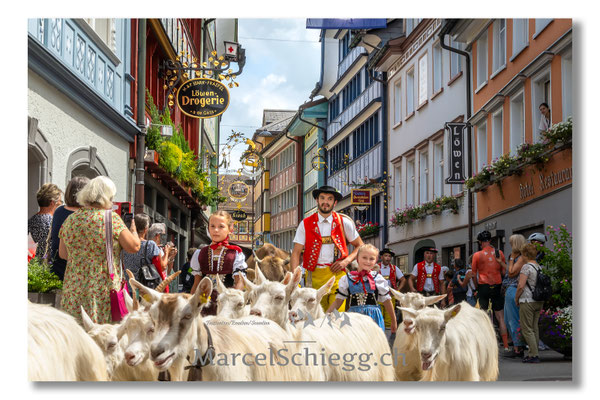 Marcel Schiegg Fotografie, Tradition, Brauchtum, Alpfahrt, Oeberefahre, Appenzell, Appenzellerland, Öberefahre, Hauptgasse