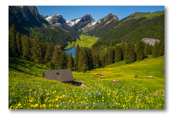 Hoher Kasten/Sämtisersee Art.-Nr. MZ7-8065/21