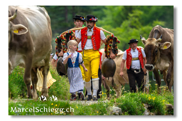 Marcel Schiegg Fotografie, Seealp, Alpstein, Tradition, Brauchtum, Alpfahrt, Oeberefahre, Appenzell, Senntumschellen