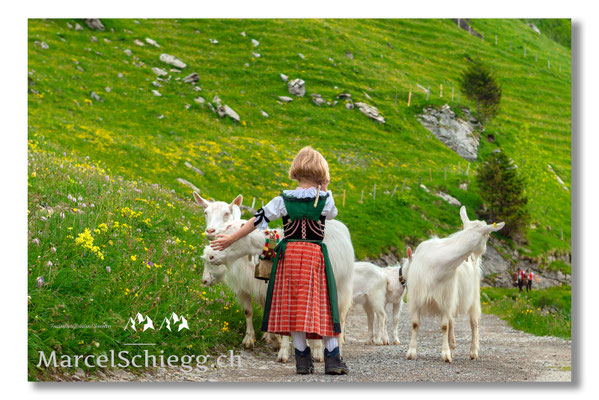 Marcel Schiegg Fotografie, Alpstein, Tradition, Brauchtum, Alpfahrt, Oeberefahre, Appenzell