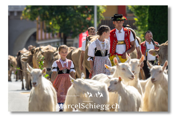 Marcel Schiegg Fotografie, Tradition, Brauchtum, Alpfahrt, Oeberefahre, Appenzell, Appenzellerland, Öberefahre, Alpstein
