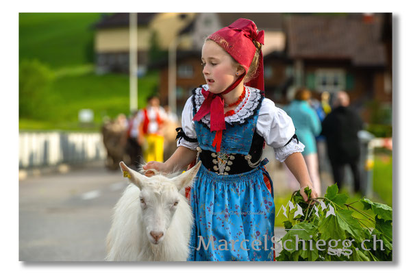 Marcel Schiegg Fotografie, Tradition, Brauchtum, Alpfahrt, Oeberefahre, Appenzell, Appenzellerland, Öberefahre