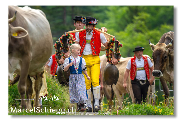 Marcel Schiegg Fotografie, Seealp, Alpstein, Tradition, Brauchtum, Alpfahrt, Oeberefahre, Appenzell, Senntumschellen