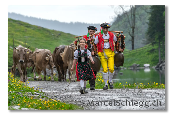 Marcel Schiegg Fotografie, Seealp, Alpstein, Tradition, Brauchtum, Alpfahrt, Oeberefahre, Appenzell