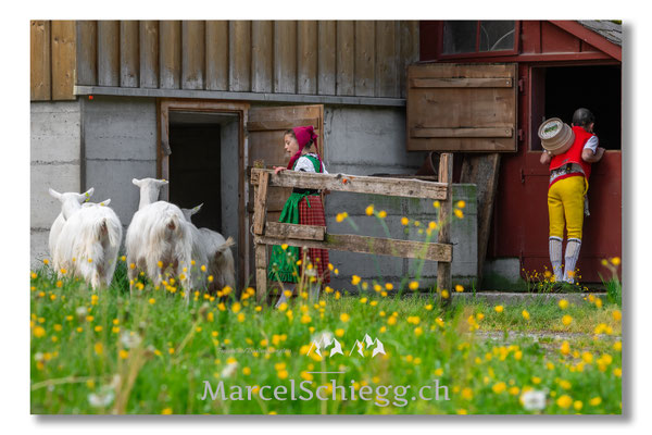 Marcel Schiegg Fotografie, Tradition, Brauchtum, Alpfahrt, Oeberefahre, Appenzell, Appenzellerland, Öberefahre, Alpstein