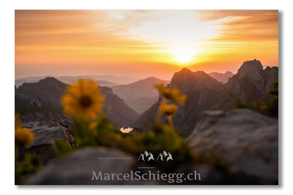 Rotsteinpass Art.-Nr. MZ7-3104