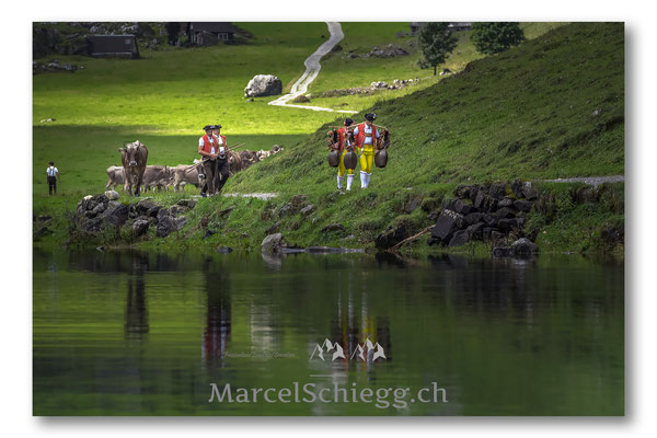 Öberefahre/Alpfahrt Art.-Nr. MS5-7150-September