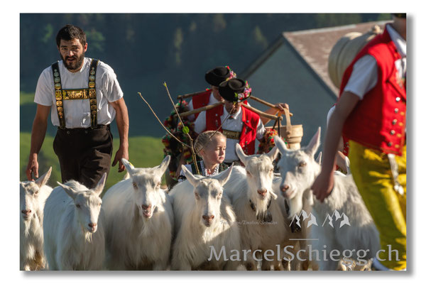 Marcel Schiegg Fotografie, Tradition, Brauchtum, Alpfahrt, Oeberefahre, Appenzell, Appenzellerland, Öberefahre, Alpstein