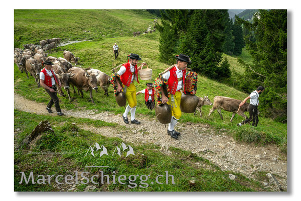 Marcel Schiegg Fotografie, Tradition, Brauchtum, Alpfahrt, Oeberefahre, Appenzell, Appenzellerland, Öberefahre, Alpstein