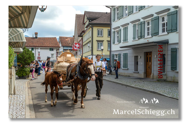Marcel Schiegg Fotografie, Tradition, Brauchtum, Alpfahrt, Oeberefahre, Appenzell, Appenzellerland, Öberefahre, Hauptgasse, Lediwagen