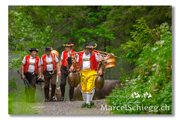 Öberefahre/Alpfahrt Art.-Nr. MS5-4881/22