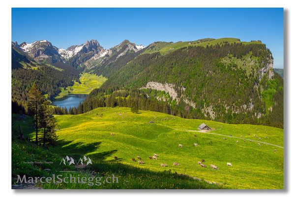 Sämtisersee Art.-Nr. MZ7-8028