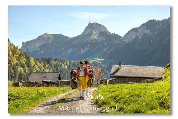 Marcel Schiegg Fotografie, Tradition, Brauchtum, Alpfahrt, Oeberefahre, Appenzell, Appenzellerland, Alpstein, Sämtis, Senntumschellen, Hoher Kasten
